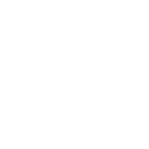 Halliburton Logo