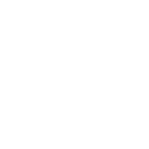 Texas Instruments Logo